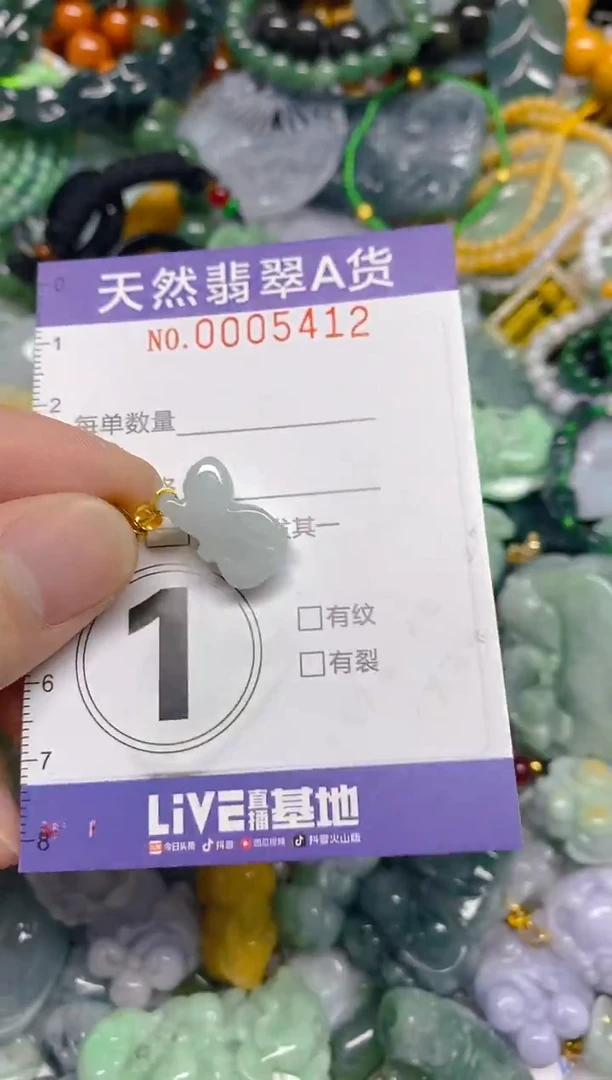 颈饰未镶嵌翡翠0005412