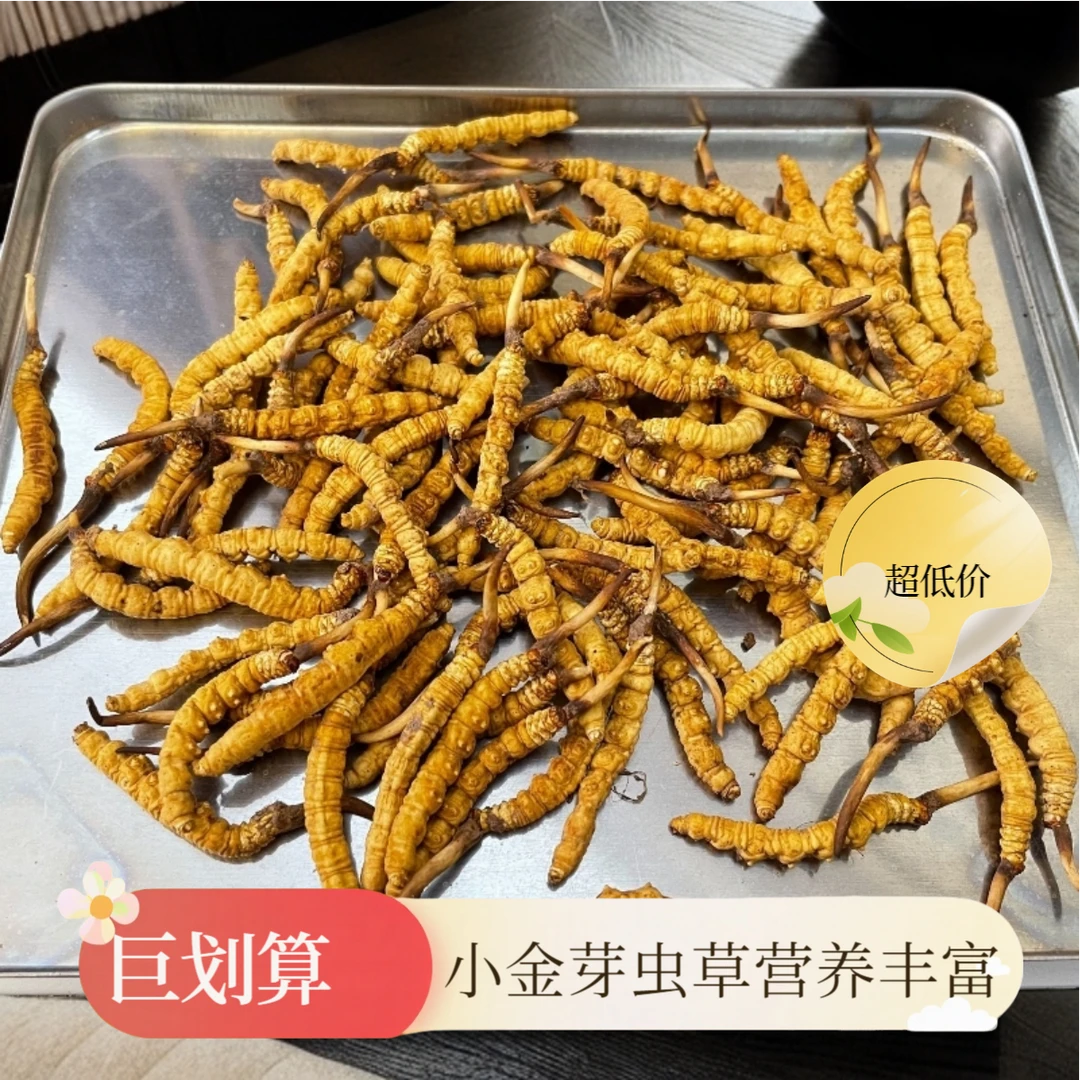 【那曲小黄芽整草】2025高海拔头期高干度自用滋补佳品礼盒包装盒