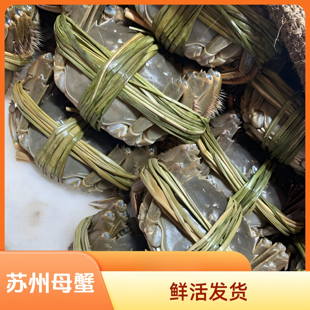 活蟹现货 鲜活大闸蟹全母蟹3.8-3.5两8/10只装 顺丰京东冷链发货