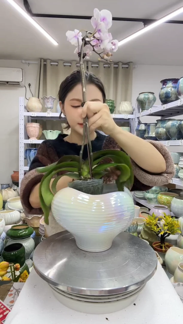 【12.22】花盆链接 高：  15口：15