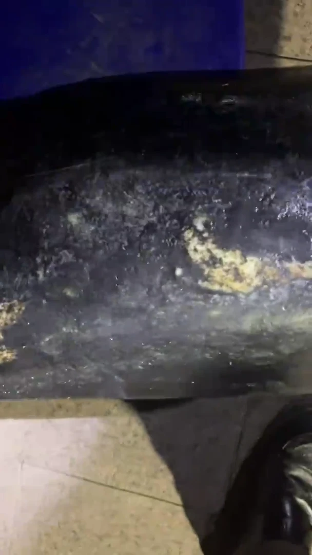 颈饰未镶嵌和田玉（糖玉）1