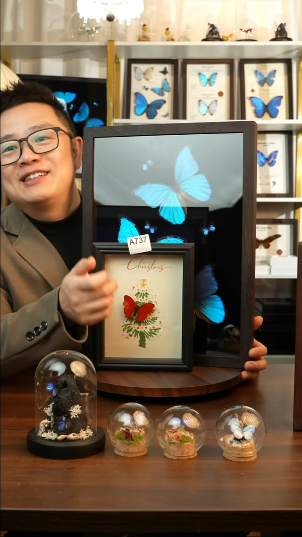 血漪蛱蝶-圣诞款（8寸方黑色欧式框）A737