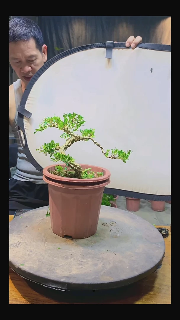 完全开放阳****计1111111