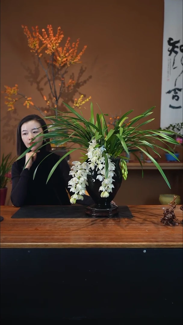 全部花朵冰瀑黑盆盆景盆景盆景