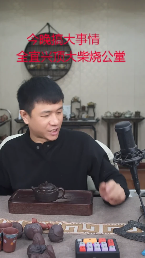 茶壶紫砂宜兴紫砂柴烧