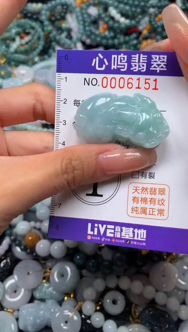 翡翠未镶嵌颈饰闪购006151