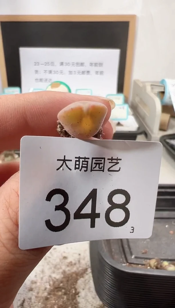 【闪购商品】++++348