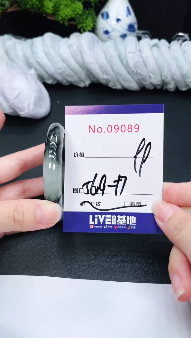 未镶嵌手镯翡翠9089