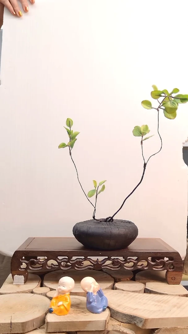 木碳化实木花瓶自然开裂花瓶摆件