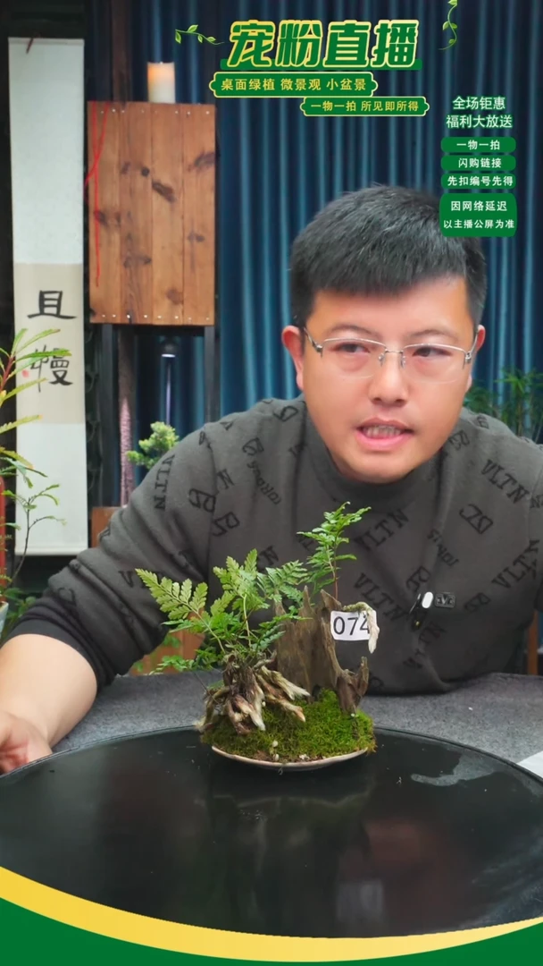 无花朵阿*苔藓微景观074号