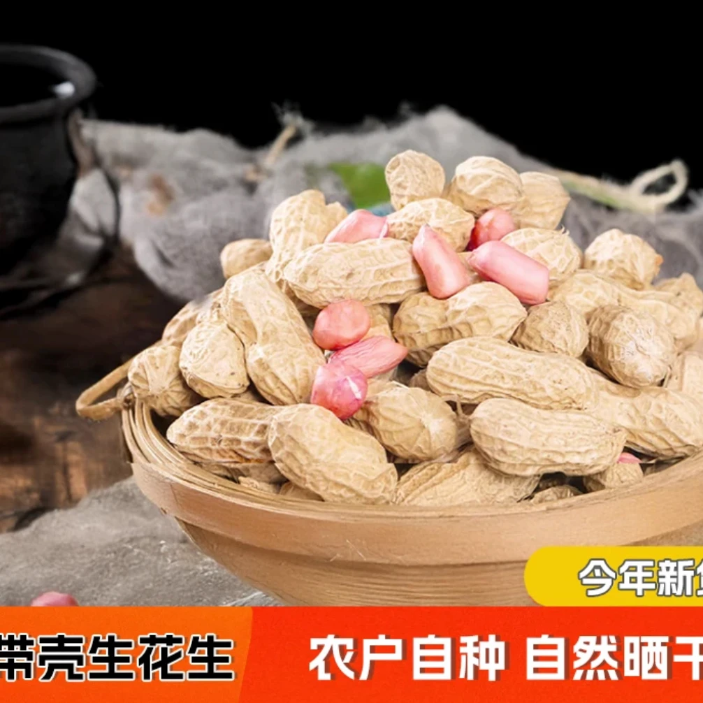 南部今年带壳花生新货大粒白沙农家新鲜大粒花生5斤生的