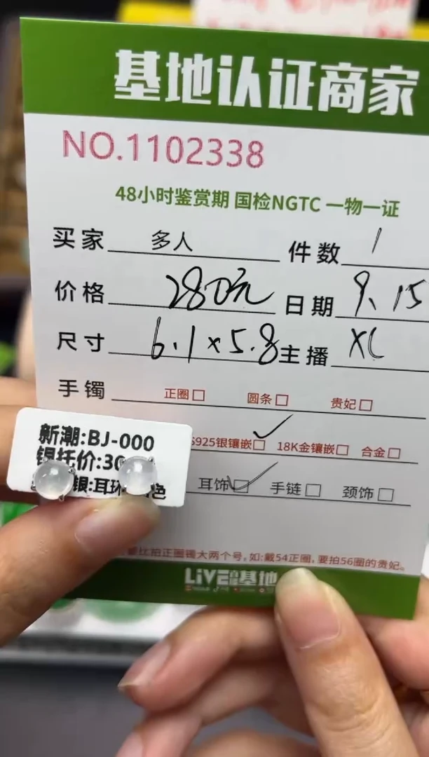 银S925镶嵌翡翠耳饰多人