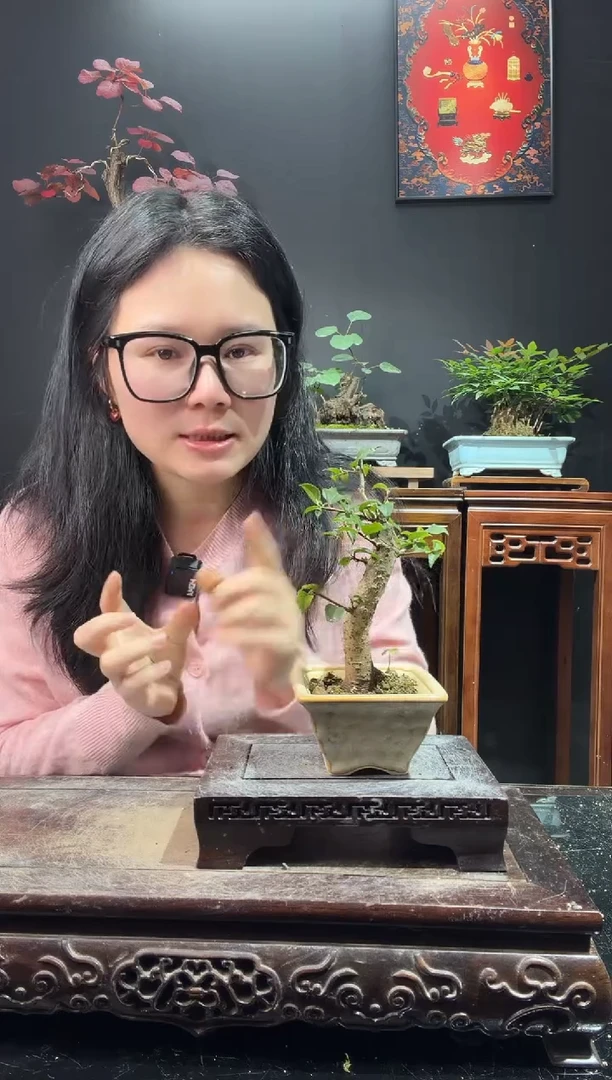 完全开放五00加皮00