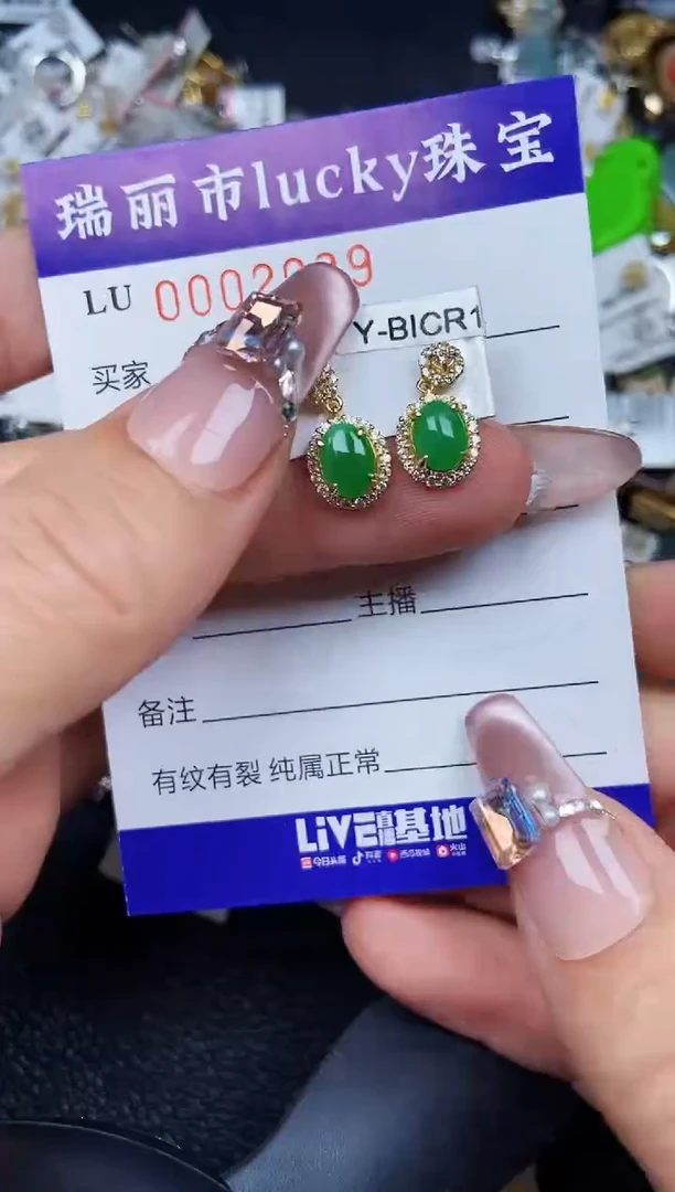 翡翠银S925镶嵌颈饰2039