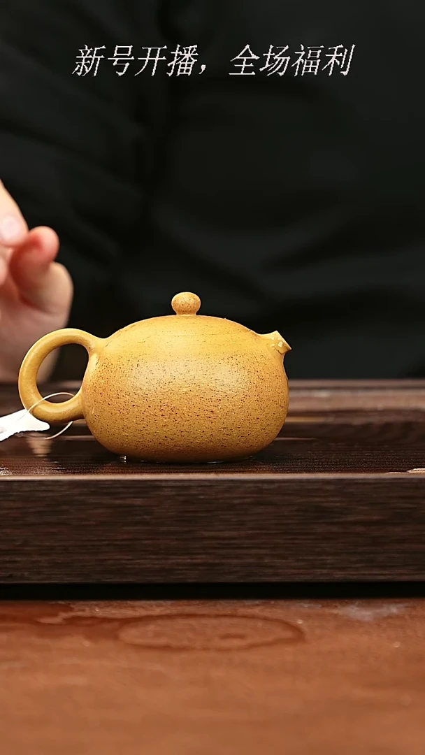 茶壶紫砂28y48黄金段河豚西施