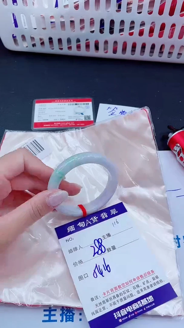 未镶嵌手镯翡翠288