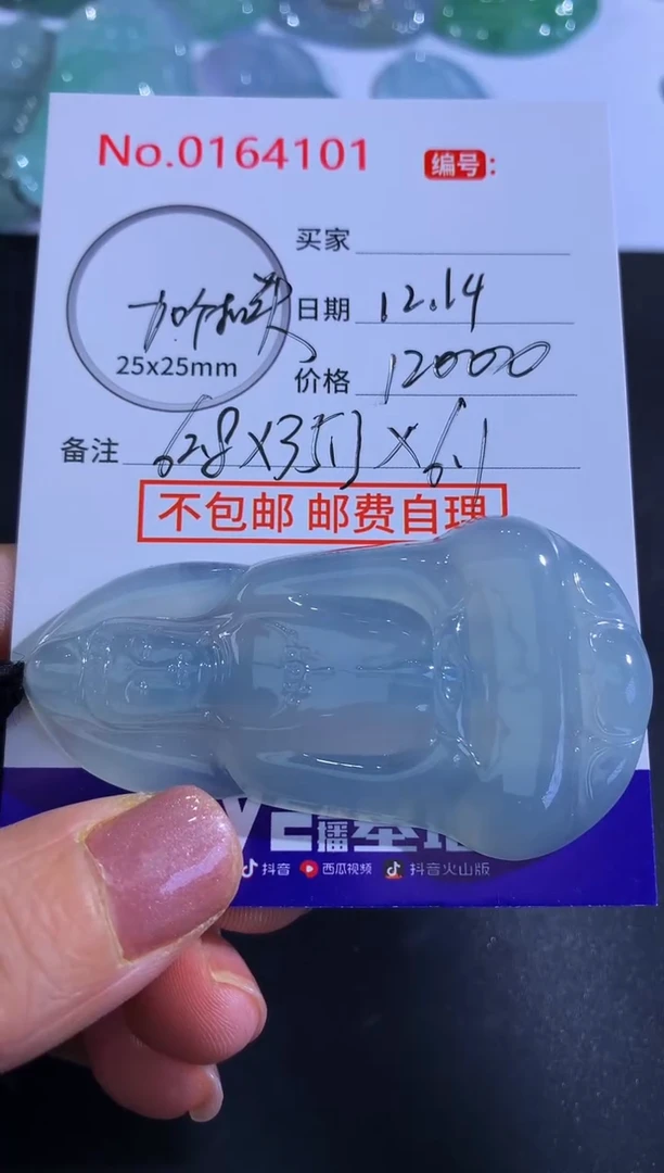 颈饰未镶嵌翡翠飞****斗！