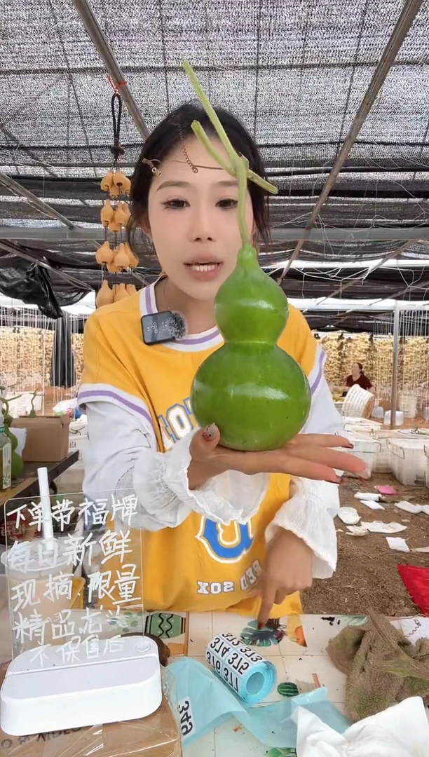 349天然葫芦摆件 一物一拍龙头不保售后