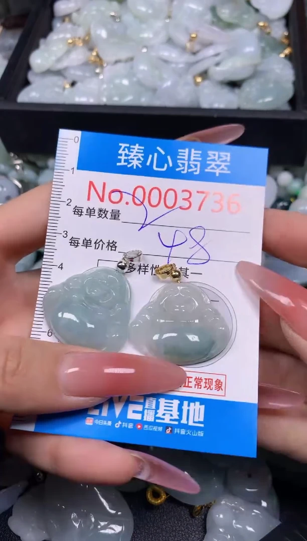 【闪购商品】翡翠颈饰未镶嵌含绳0003736