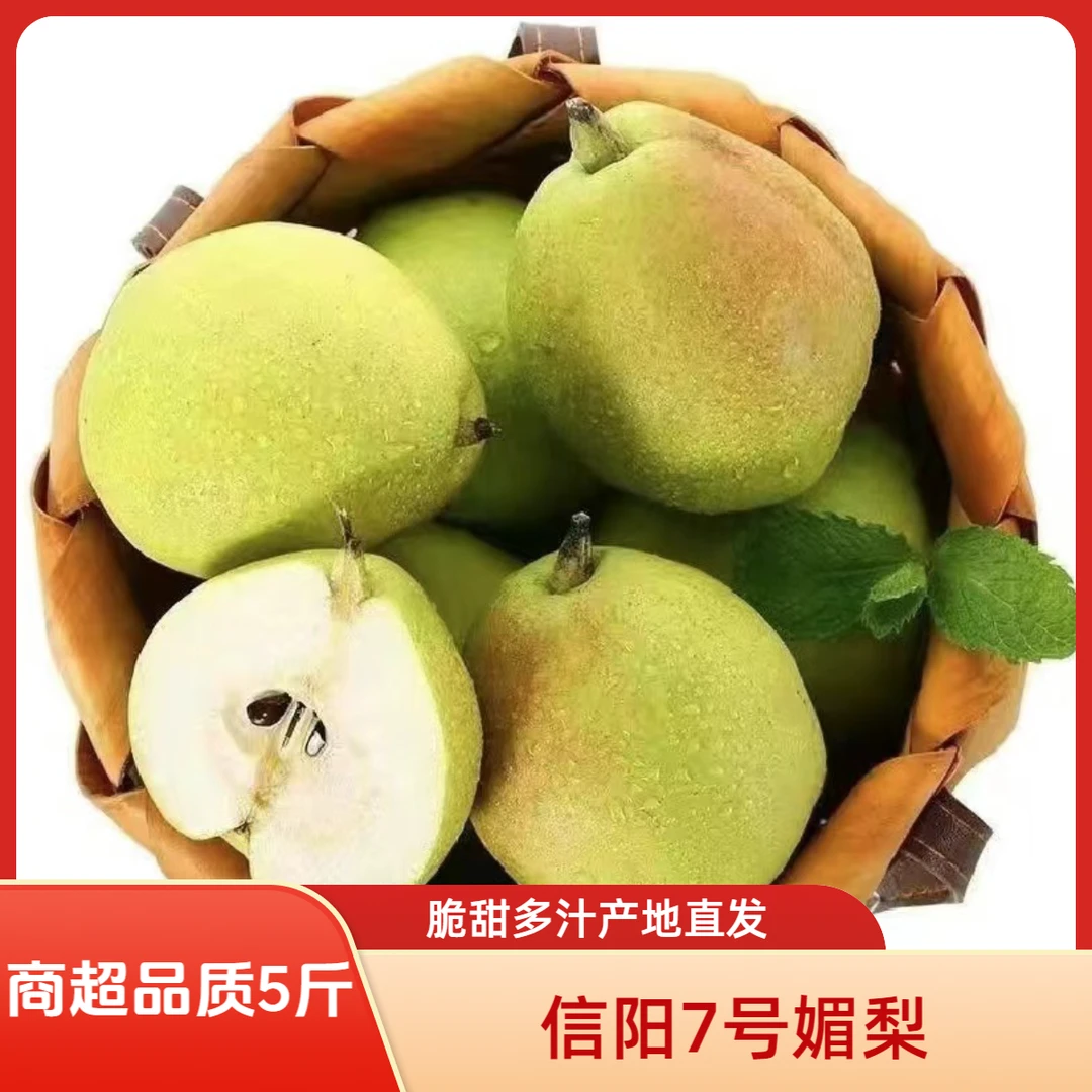 【阳信媚梨7号】正宗山东信阳媚梨7号5斤商超精品新鲜当季脆甜多汁