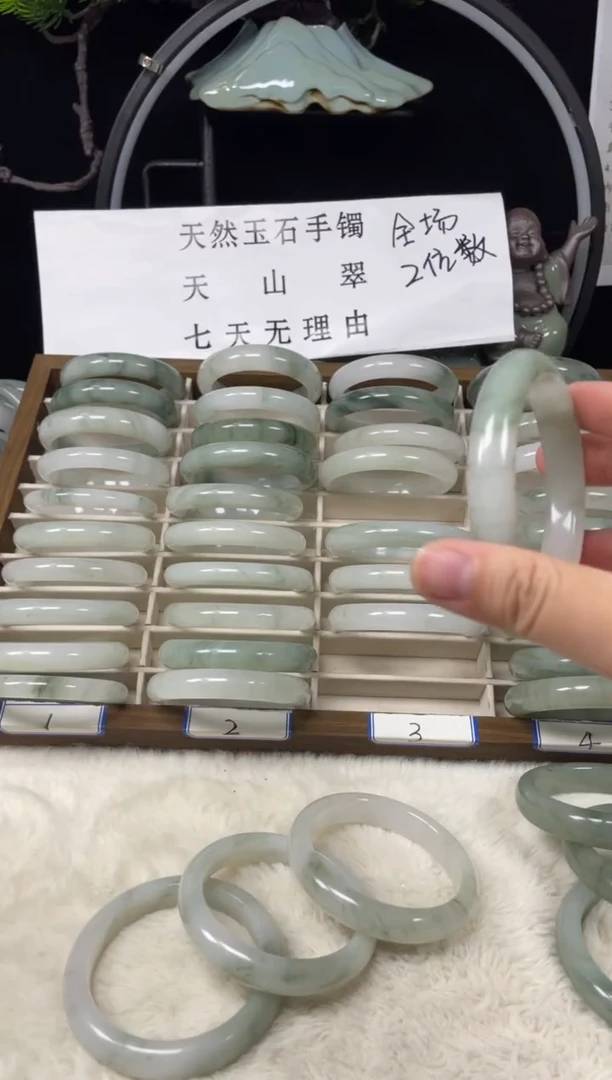 未镶嵌手镯石英质玉（天山翠）934