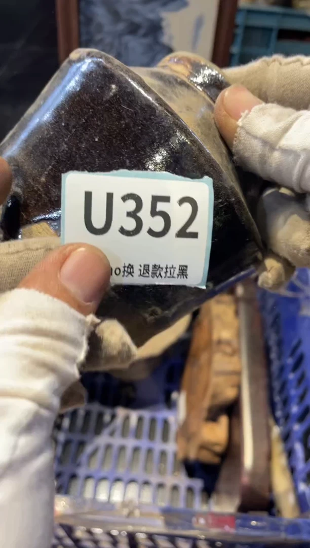 瓷片；****娇表弟直播链接火爆
