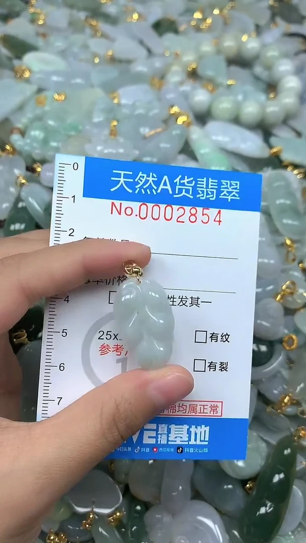 颈饰未镶嵌翡翠净货挂件-2854