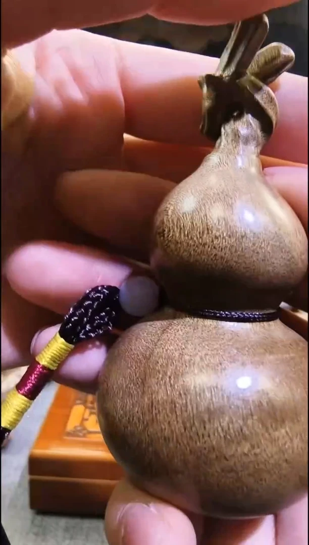 金丝楠      龙头葫芦