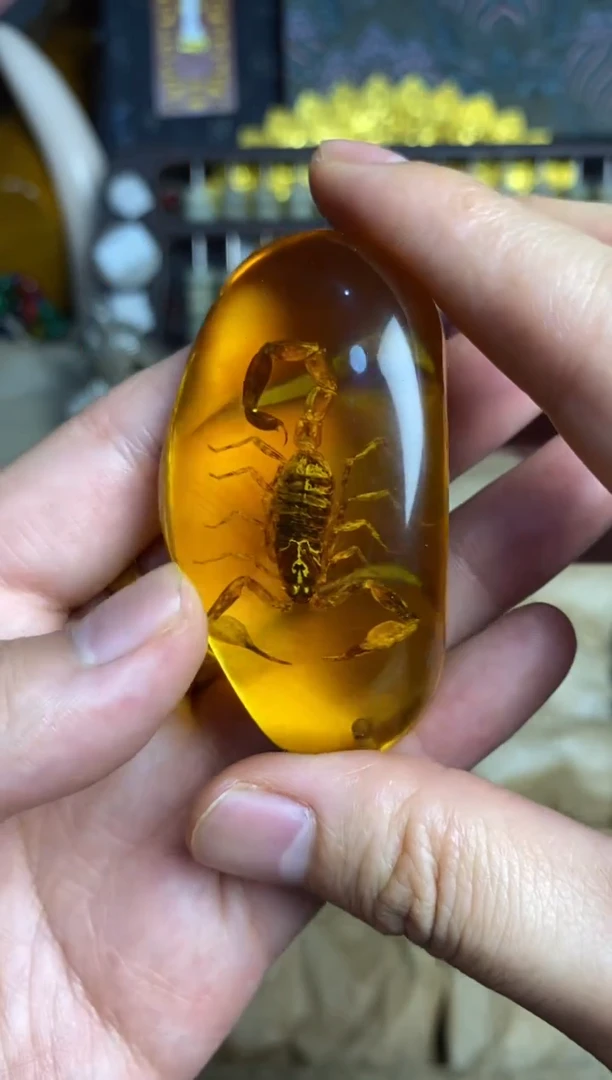 未镶嵌琥珀裸石主播推荐主播推荐