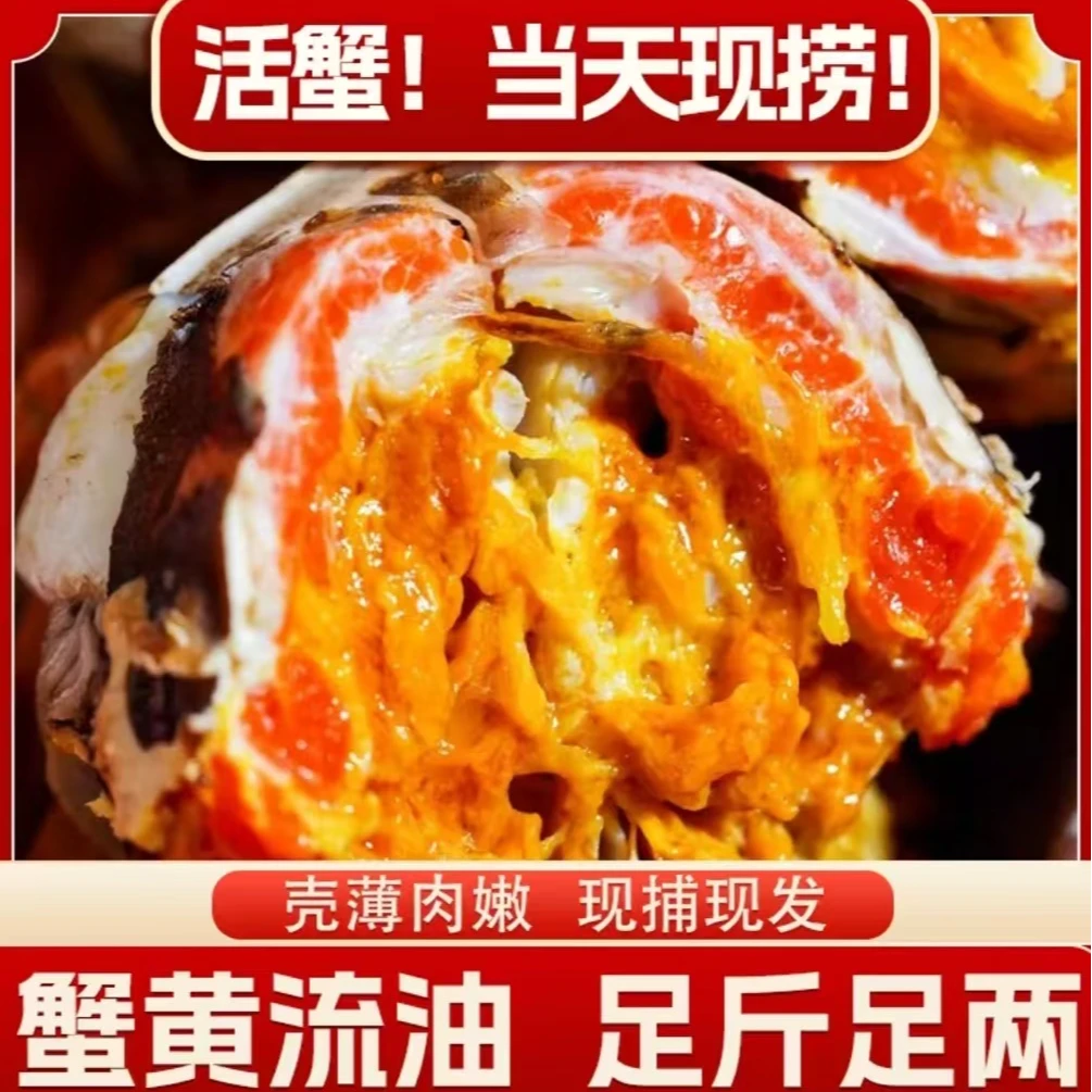【活蟹】苏州精品大闸蟹/8/10只 全母蟹4.1-3.8两 礼盒包装