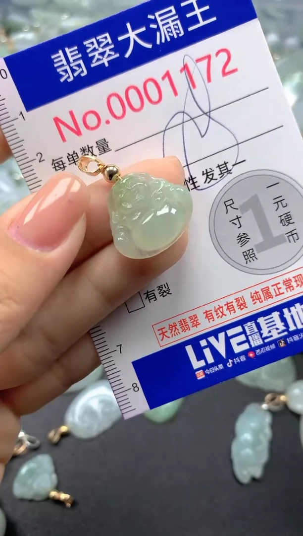 颈饰未镶嵌翡翠1172