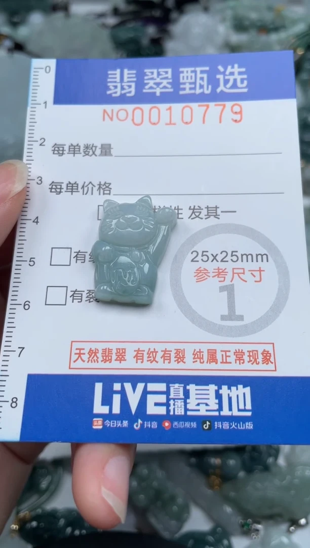 颈饰未镶嵌翡翠10779