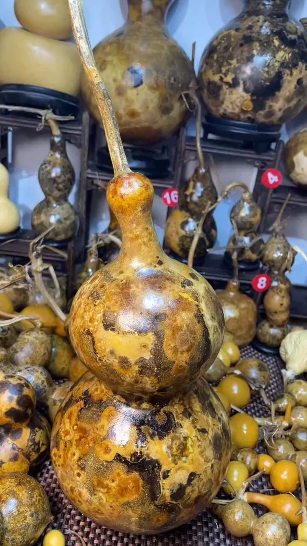 【闪购商品】葫芦葫芦葫芦葫芦