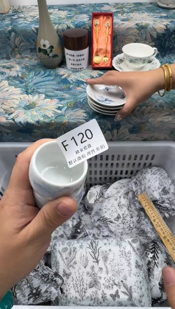 瓷片?****?        F120