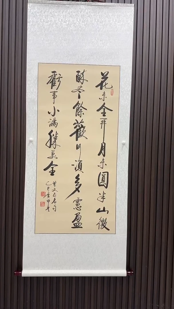 书法王广申老师书法---花未全开