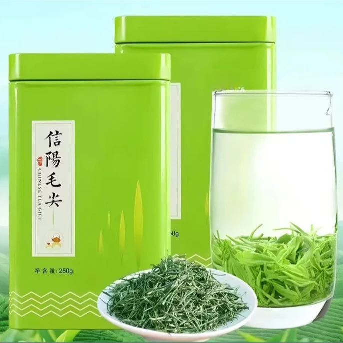 【雨前茶50g-125g】2025新茶叶信阳毛尖晚雨前高山云雾绿茶口粮茶