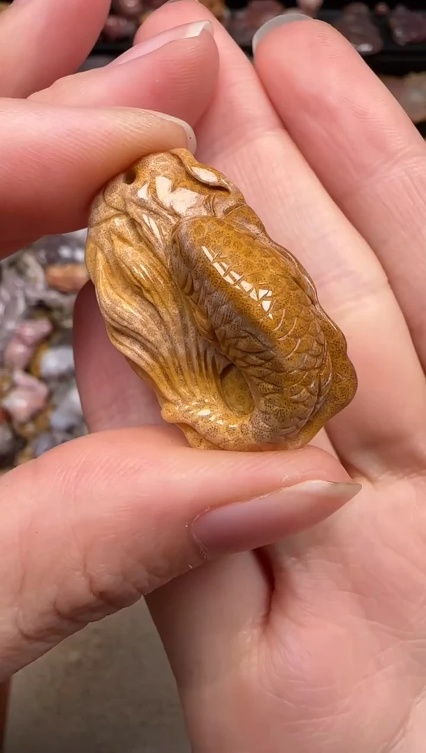 硅化珊瑚（珊瑚玉）未镶嵌颈饰627
