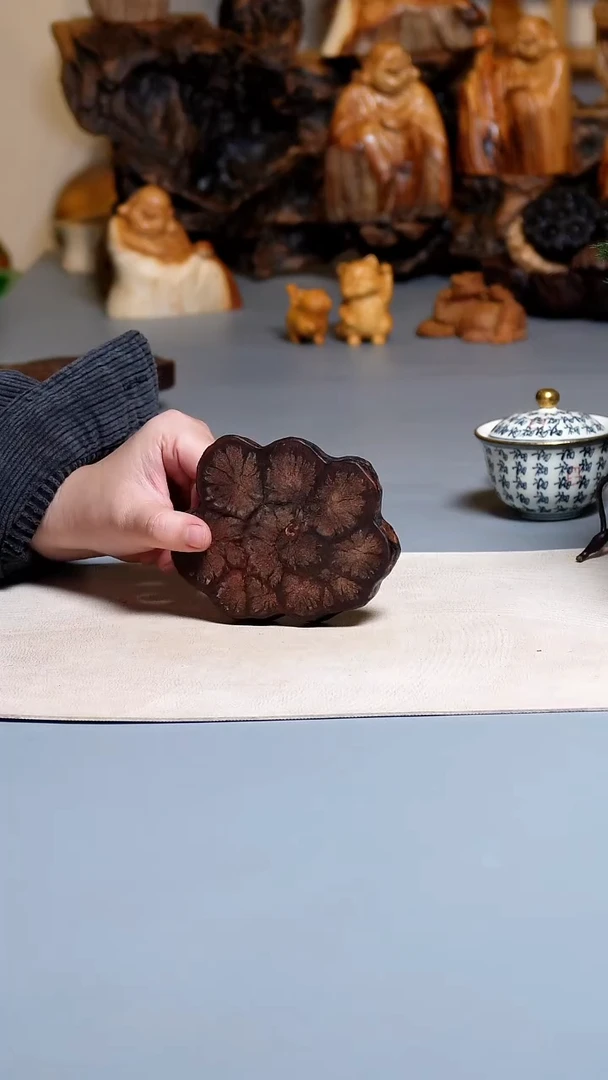 木九龙藤一片0039.