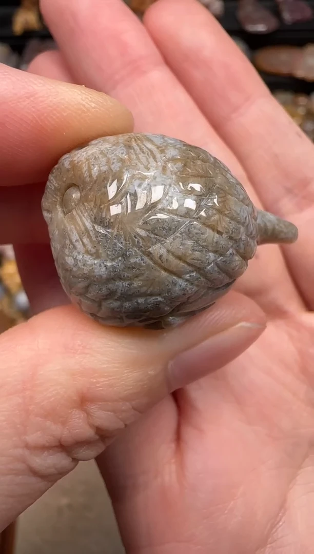 硅化珊瑚（珊瑚玉）未镶嵌颈饰203