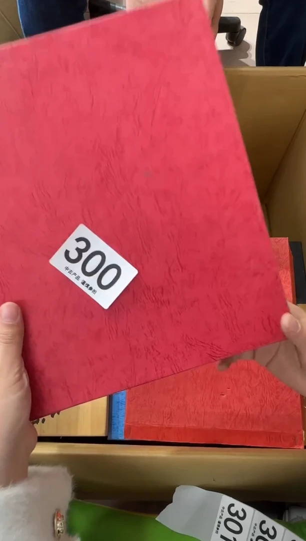 护**者300...中古產品謹慎參拍