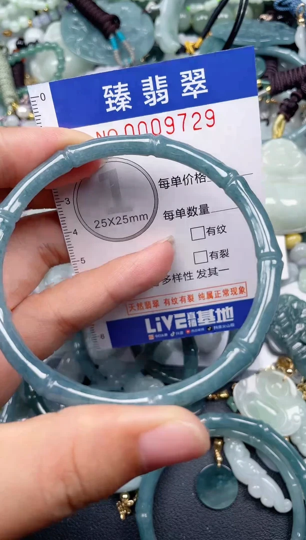 颈饰未镶嵌翡翠.0009729