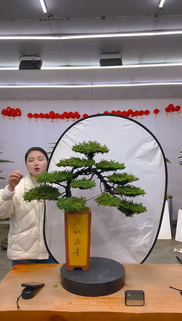 【闪购商品】盆景1