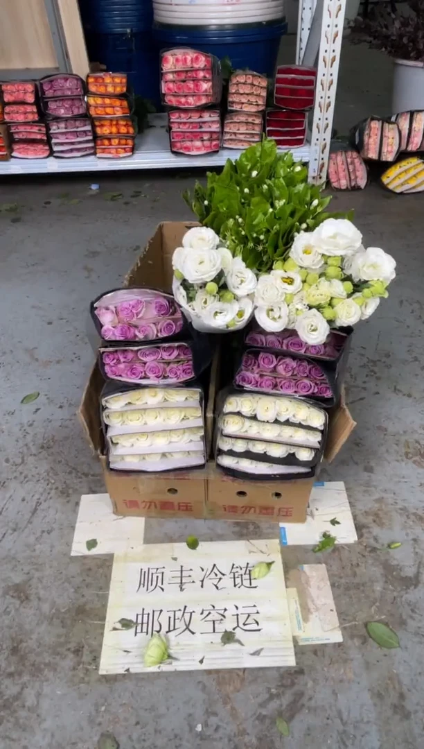 紫霞20枝+骄傲20枝+白桔梗400克+茉莉1扎
