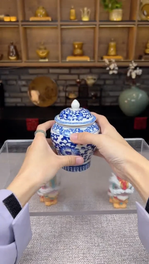【闪购商品】无尽藏 专属福利单 VVV