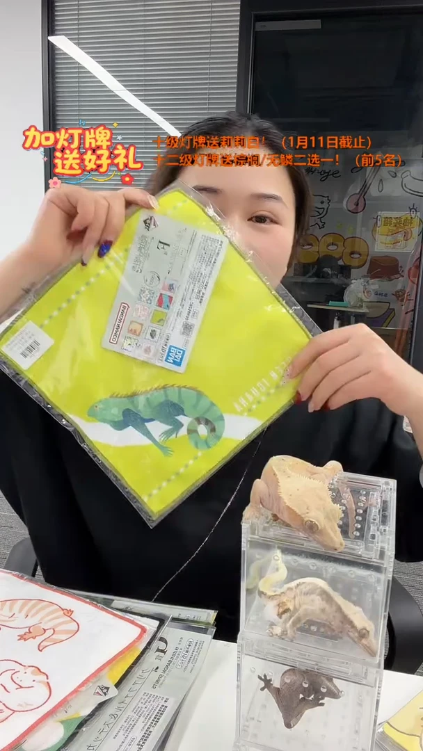 拍个爬老板珍藏万代F赏2