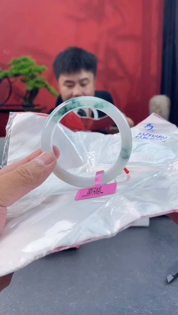 未镶嵌手镯翡翠15