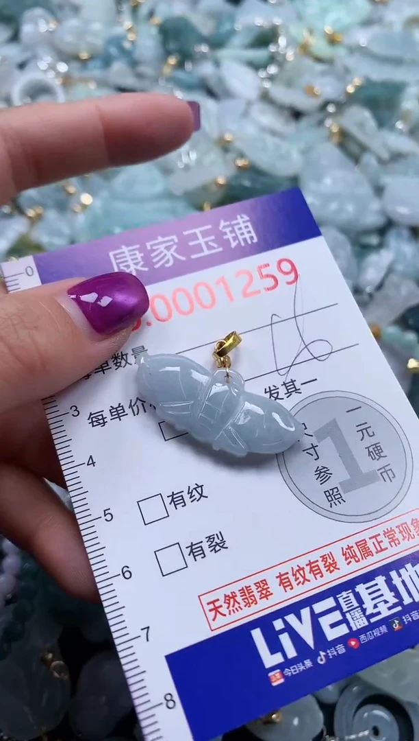 颈饰未镶嵌翡翠1259