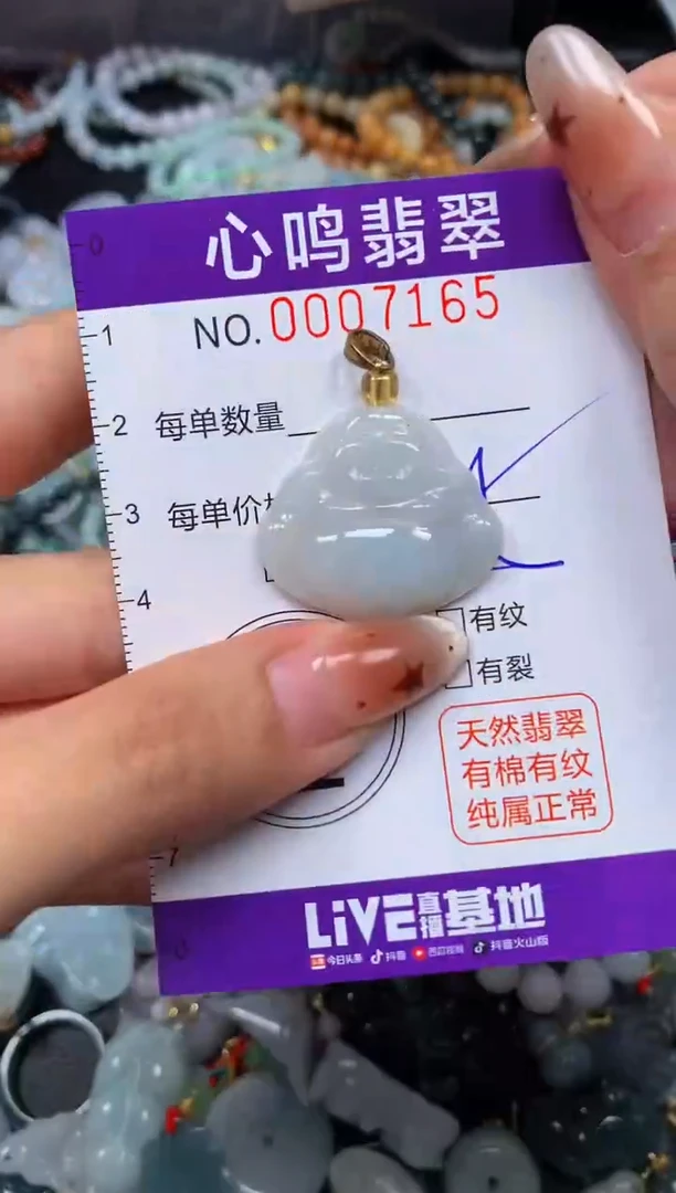 翡翠未镶嵌颈饰闪购007165