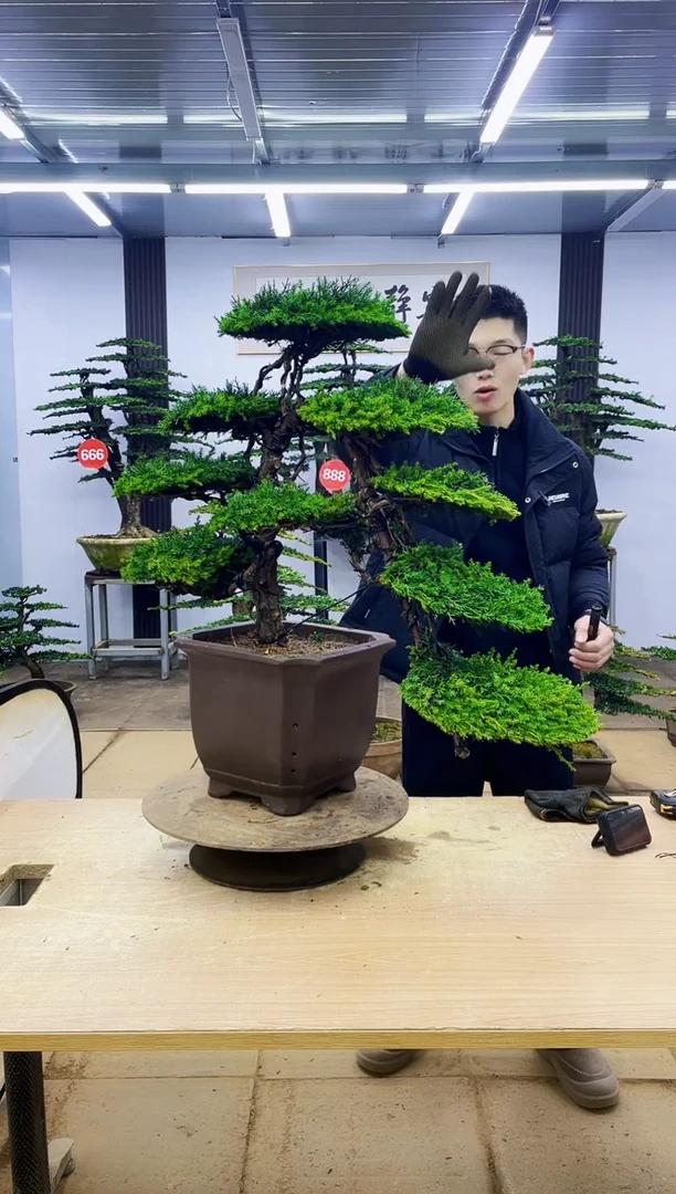 无花朵000000000000000