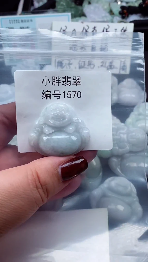 颈饰未镶嵌翡翠缅甸天然A货翡翠1570